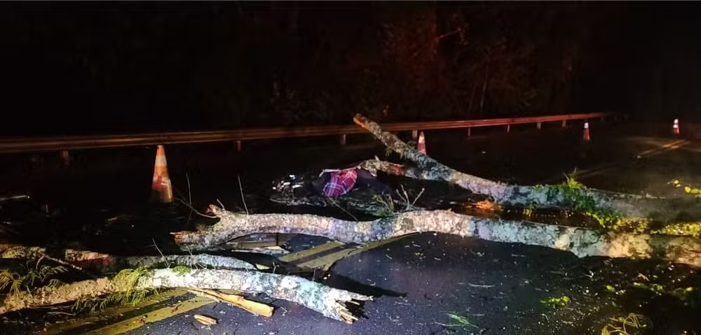 Motociclista morre e garupa fica ferido após queda de árvore em rodovia de Capão Bonito