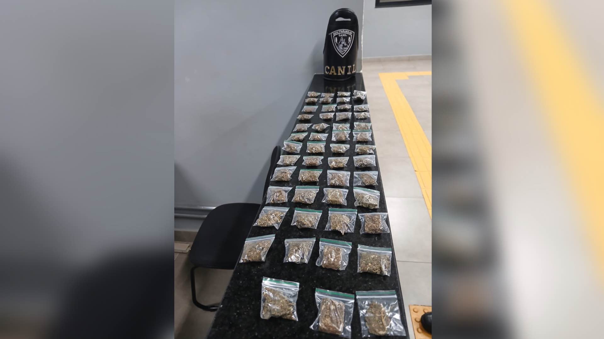 GCM apreende 51 porções de droga após denúncia no Novo Horizonte, em Itararé
